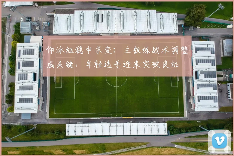仰泳组稳中求变:主教练战术调整成关键,年轻选手迎来突破良机