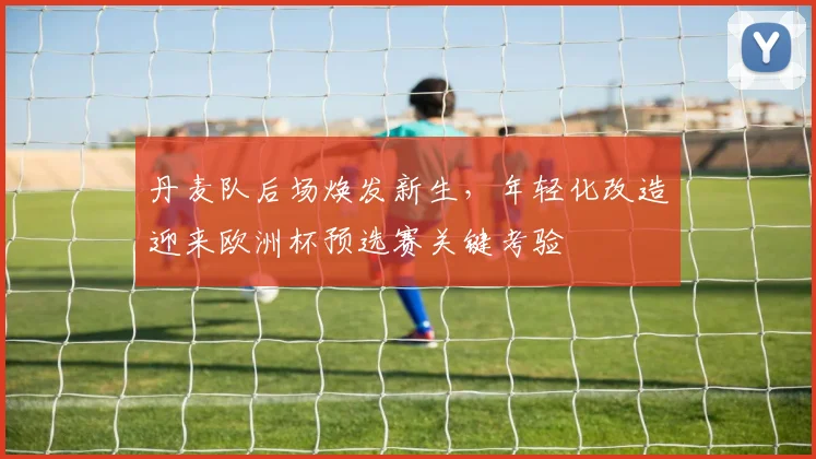 丹麦队后场焕发新生,年轻化改造迎来欧洲杯预选赛关键考验