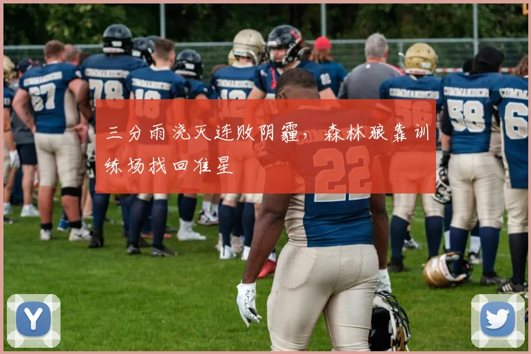 三分雨浇灭连败阴霾,森林狼靠训练场找回准星