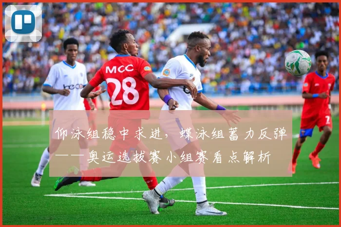仰泳组稳中求进，蝶泳组蓄力反弹——奥运选拔赛小组赛看点解析